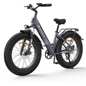 isinwheel M60 Vélo électrique tout-terrain à gros pneus 750W pas cher