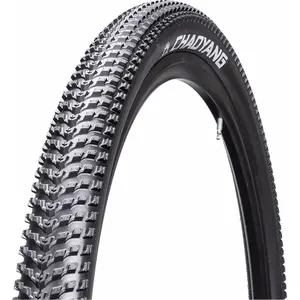 Pneu Chaoyang Victory 26x2,1 30TPI Tubetype Noir pour E-Bike avec Shar...
