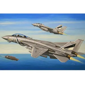 Hobby Boss Maquette Avion : F-14d Super Tomcat-Hobby Boss pas cher
