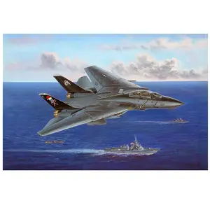 Maquette Grumman F-14B Tomcat  1/48  - Hobby Boss Maquette d'avion  - HB80367  pas cher