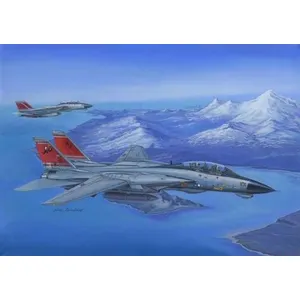 Hobbyboss F-14d Super Tomcat - 1:48e - Hobby Boss pas cher