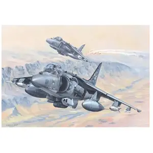 Comparateur de prix : Av-8b Harrier Ii - 1:18e - Hobby Boss