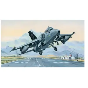 Maquette AMX Ground Attack A.   1/48  - Hobby Boss Maquette d'avion  - 9581741 