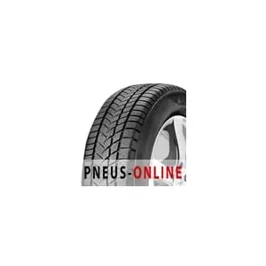 Pneu Sunny NW211 205/55 R 17 95 V XL Hiver pas cher