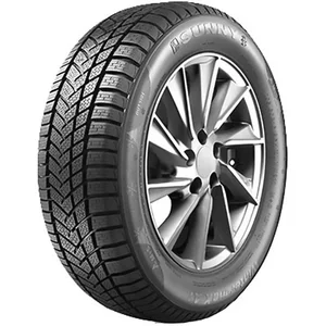 Sunny Wintermax NW211 195/55 R16 87H pas cher