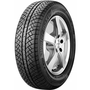 Sunny Wintermax NW611 175/70 R14 88T pas cher