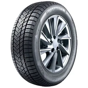 Sunny Wintermax NW211 205/55 R16 91H pas cher