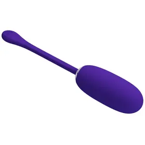 Comparateur de prix : Pretty Love Julius Oeuf Vibrant Rechargeable Etanche Lilas 1ut