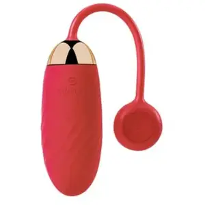 Comparateur de prix : Svakom Oeuf vibrant connecté Ella