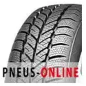 RoadX RX Frost WH01 XL 205 45 16 V 87 Winter pas cher