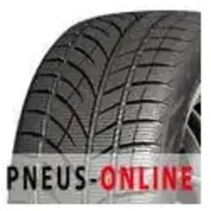 RoadX RX Frost WU01 235 45 17 V 94 Winter