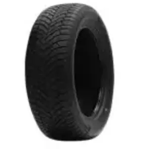 Double Coin DASP PLUS XL 3PMSF 185 65 15 T 92 All-Season