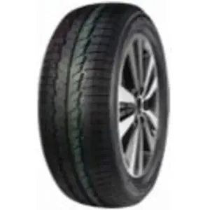 Pneu d'hiver Camionnette Snow 235/65 R16 115/113R pas cher