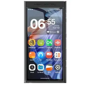 Comparateur de prix : Baladeurs audiophiles Hiby Digital M300 128 Noir