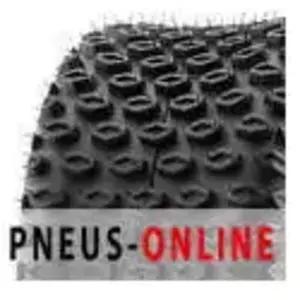 Sun F - Pneu A-012 - loisir/piste - 18/9.5R8 - TL,Diagonal