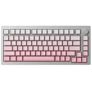 MonsGeek M1W HE-SP