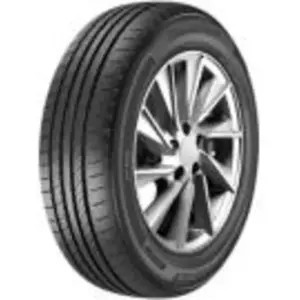 Milestone MZ01 XL 195 55 16 V 91 Summer