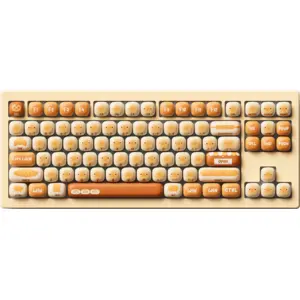 Bun Wonderland 5087B v3