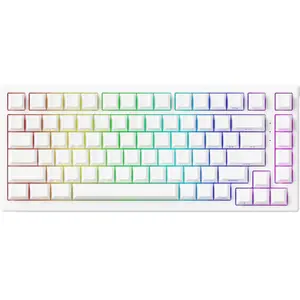 TAC75 HE Magnetic Keyboard- Black & WhiteVendu parakko