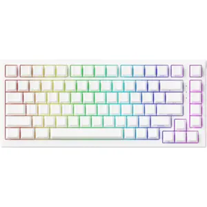 TAC75 HE Magnetic Keyboard- Black & White