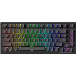 TAC75 HE Magnetic Keyboard- Black & WhiteVendu parakko