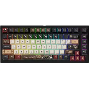 TAC75 HE Magnetic Keyboard   Lord of Mysterious