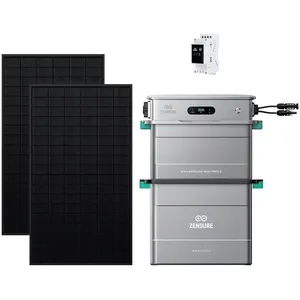 Zendure SolarFlow 800 Pro 2 + Compteur 3CT + 2x 450W Panneau Bifacial ...