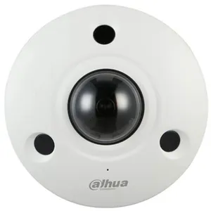 Caméra Fisheye IP 12 MP IR 10M IP67 IK10 - Dahua