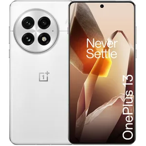 OnePlus OnePlus 13 16-512 GB Arctic Dawn EU pas cher
