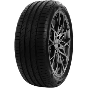 Comparateur de prix : Delinte DS2 195/65 R15 91H
