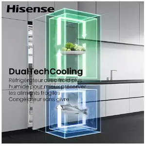 Réfrigérateur combiné encastrable HISENSE RB3B280SAWE pas cher