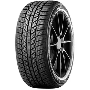 Pneu d'hiver Evergreen EW62 195/65 R15 91T