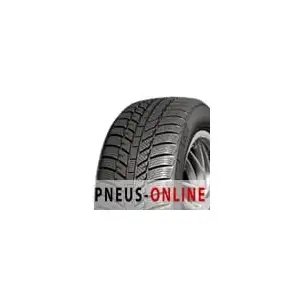 Evergreen EW62 195 55 15 H 85 Winter pas cher