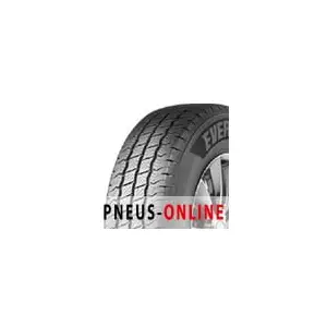 Comparateur de prix : Evergreen EA720Van Dynamaster 3PMSF 215 65 16 T 109 All-Season