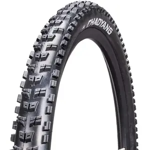 Comparateur de prix : Pneu VTT Chaoyang Rock Wolf - CHAOYANG - 29 - Noir - Adulte - Mixte