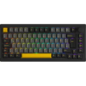 AKKO Black & Gold 5075B Plus ISO pas cher