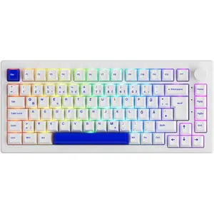 AKKO 5075B Plus Mechanical Keyboard