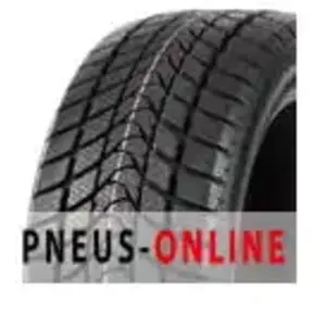 Delinte Pneu d'hiver Livraison: 2-4 jours ouvrables, Livraison gratuite WD1 205/55 R16 91H