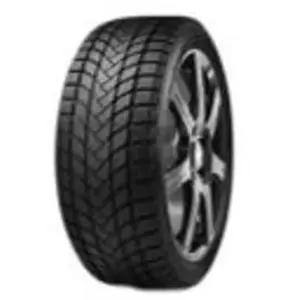 Delinte Winter WD6 175 65 15 T 84 Winter pas cher