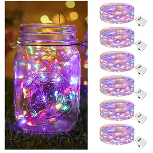 Hillylolly Guirlande Lumineuse Led Interieur, 3M 100LED Guirlande Lumineuse Chambre avec Télécommande, Micro Guirlande Lumineuse, Guirlande Lumineuse Led Noël pour Chambre, Mariage, Soirée