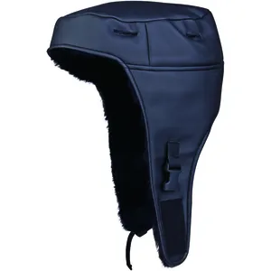 Comparateur de prix : Delta Plus - doublure pour casque de chantier winter -wintercapno