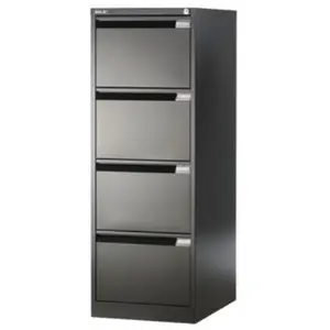 Rainex standard 250 100 chemises 24 x 32 cm vert vif 400vv