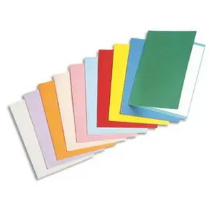 Rainex standard 180 100 chemises 24 x 32 cm assorties 305asVendu parfnac