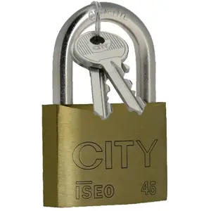 Comparateur de prix : Cadenas CITY 45 2CL MV H 7 mm - ISEO - 2052202