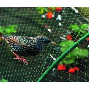 Celloplast - nortene - Filet protection anti oiseaux 10 m x 2 m vert pas cher
