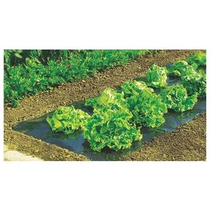 Comparateur de prix : NORTENE Celloplast - Film de paillage toutes cultures terrafilm 1 40x5 m ref 100005