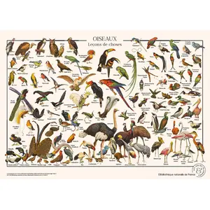 Comparateur de prix : Puzzle Oiseaux 1000 Pièces