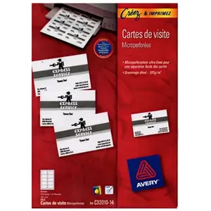 Avery 250 Cartes de visite pas cher