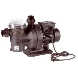 Pompe de filtration GUINARD Nemo 15 - 17m3/h pas cher