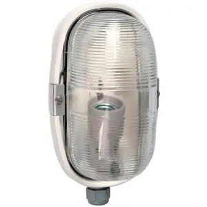 Legrand - Hublot ovale environnements sévères E27 pas cher